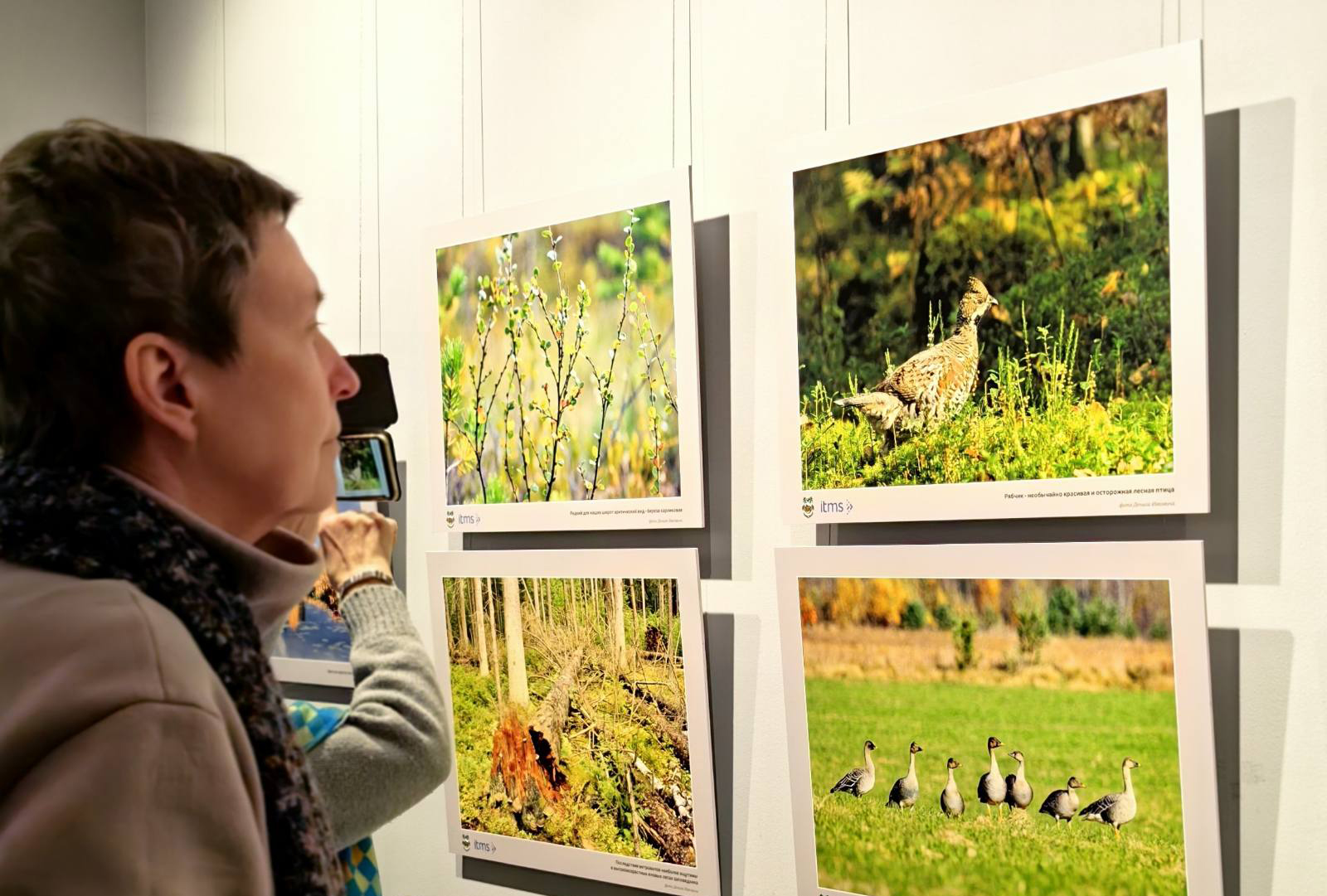 Выставка «В мире заповедной природы»