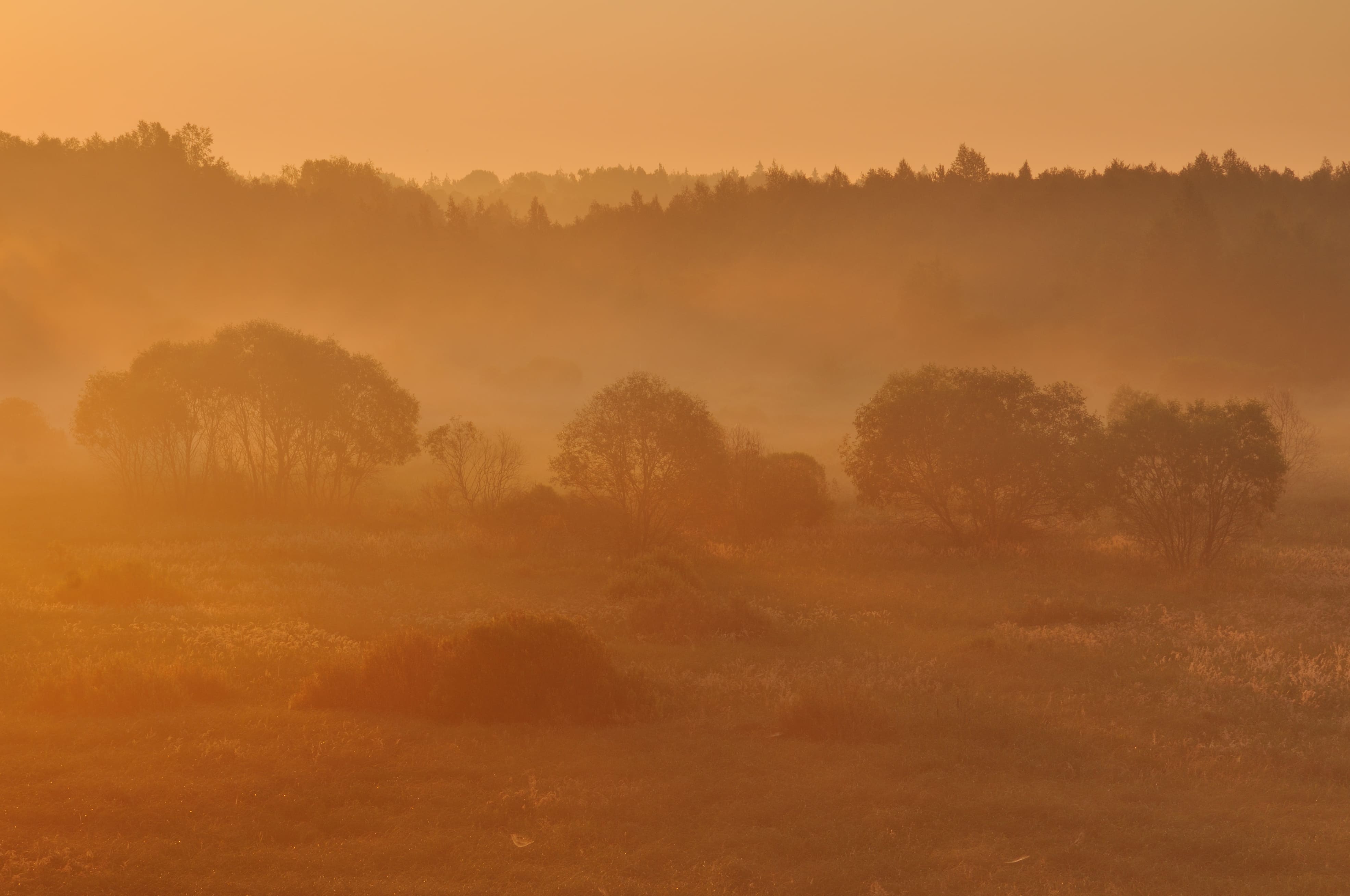 Июльский рассвет в урочище Залазы