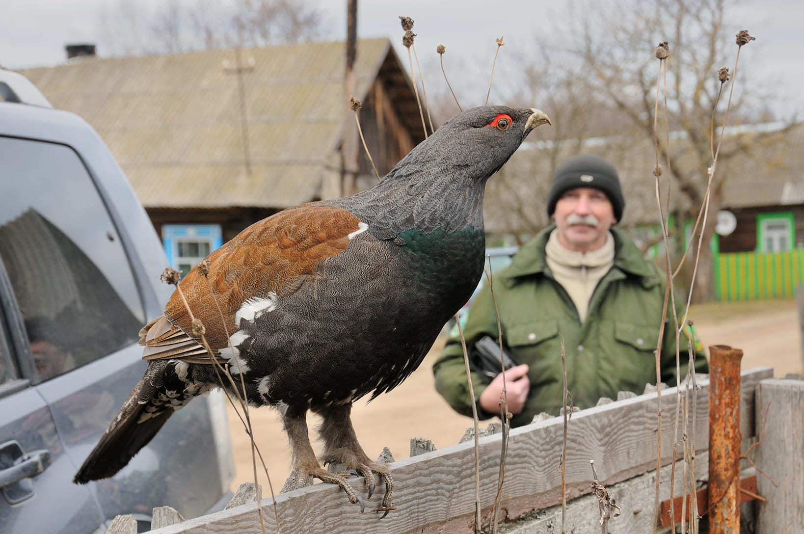 Заповедник