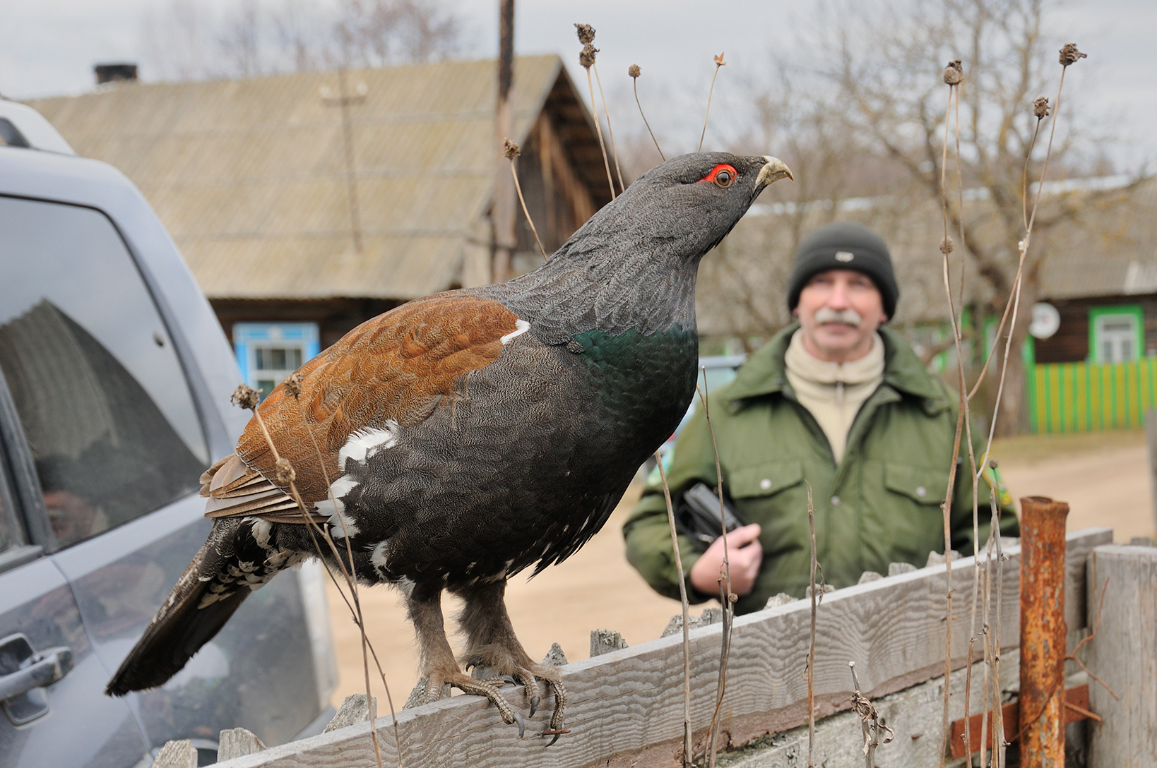 Заповедник